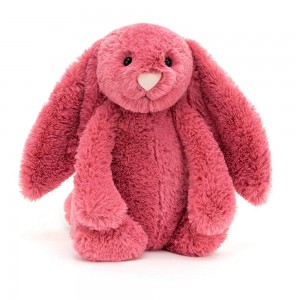 Jellycat Bashful Cerise Bunny 31cm x 12cm x 9cm Animals Rosa | Deutschland 849-OBEDPY