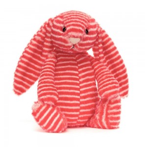 Jellycat Bashful Evey Bunny 31cm x 12cm x 9cm Animals Rot | Deutschland 273-OKAXZU
