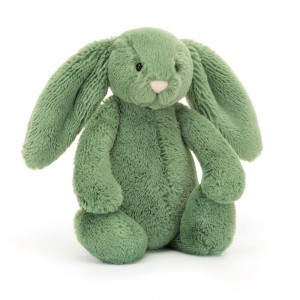 Jellycat Bashful Ivy Bunny 18cm x 9cm x 8cm Animals Grün | Deutschland 786-CEUHRF
