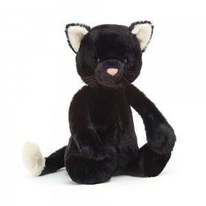 Jellycat Bashful Kitten 31cm x 12cm x 9cm Animals Schwarz | Deutschland 061-IRMBGV