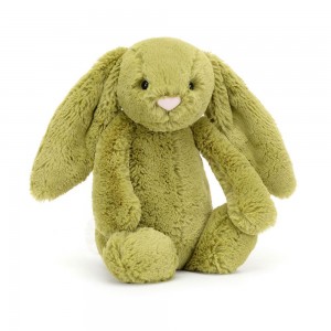 Jellycat Bashful Moss Bunny 31cm x 12cm x 9cm Animals Grün | Deutschland 298-PROYZE