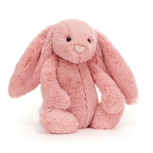Jellycat Bashful Petal Bunny 31cm x 12cm x 9cm Animals Rosa | Deutschland 893-MOPTDA