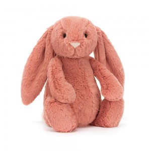Jellycat Bashful Sorrel Bunny 31cm x 12cm x 9cm Animals Orange | Deutschland 178-DVFALH