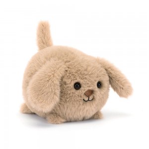 Jellycat Caboodle Puppy 3.9in x 3.5in x 4.3in Animals Beige | Deutschland 325-YSZUWQ