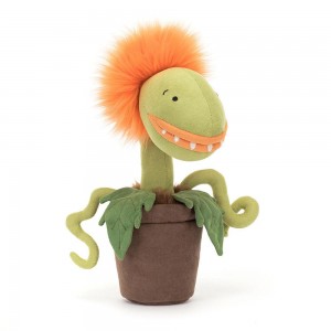 Jellycat Carniflore Tammie 27cm x 8cm x 8cm Amuseables Orange | Deutschland 938-ZSOWDQ