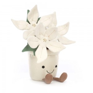 Jellycat Gold Poinsettia 25cm x 10cm x 10cm Amuseables Weiß | Deutschland 452-DKLEAR