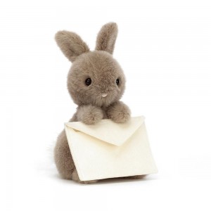 Jellycat Messenger Bunny 19cm x 12cm x 12cm Animals Braun | Deutschland 907-UWVZGD