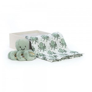 Jellycat Odyssey Octopus Gift Set 18cm x 18cm x 8cm Baby & Books Grün | Deutschland 214-OAGSFJ