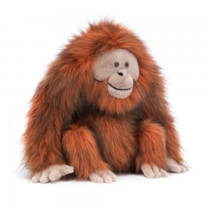 Jellycat Oswald Orangutan 34cm x 20cm x 11cm Animals Orange | Deutschland 468-FSODAQ