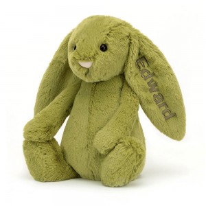 Jellycat Personalised Bashful Moss Bunny Medium 31cm x 12cm x 9cm Discover Grün | Deutschland 397-ULSOAR