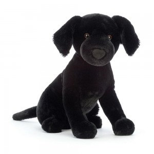 Jellycat Pippa Labrador 9.4in x 5.1in x 8.3in Animals Schwarz | Deutschland 649-RTMULP