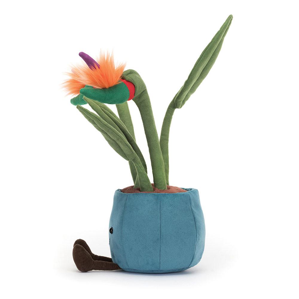 Jellycat Bird of Paradise 38cm x 17cm x 14cm Amuseables Grün | Deutschland  583-RHABVC