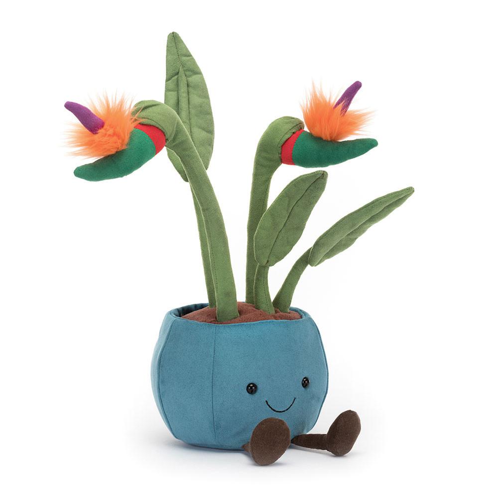 Jellycat Bird of Paradise 38cm x 17cm x 14cm Amuseables Grün | Deutschland  583-RHABVC