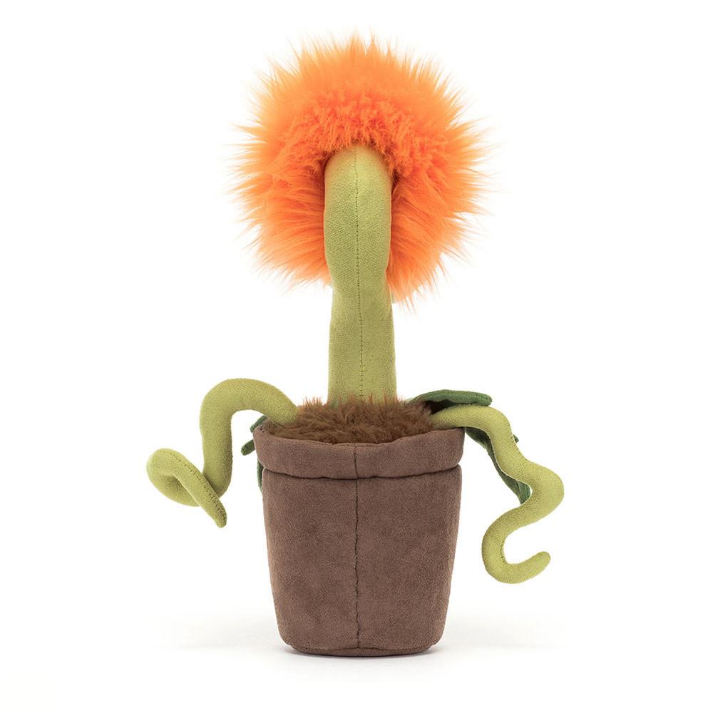 Jellycat Carniflore Tammie 27cm x 8cm x 8cm Amuseables Orange | Deutschland  694-SFEVCD