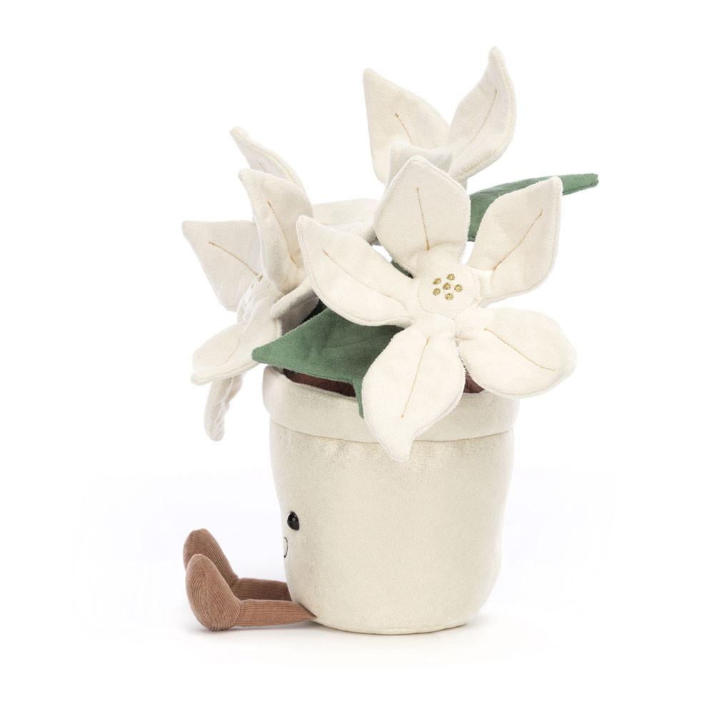 Jellycat Gold Poinsettia 25cm x 10cm x 10cm Amuseables Weiß | Deutschland  452-DKLEAR