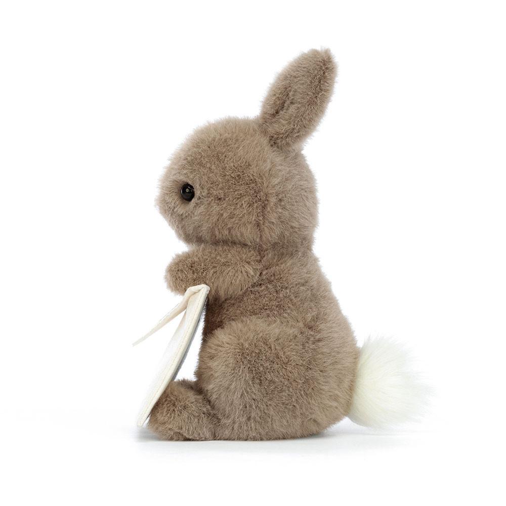 Jellycat Messenger Bunny 19cm x 12cm x 12cm Animals Braun | Deutschland  907-UWVZGD