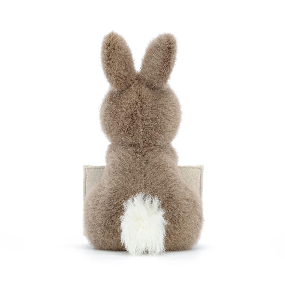 Jellycat Messenger Bunny 19cm x 12cm x 12cm Animals Braun | Deutschland  907-UWVZGD